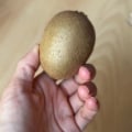 El potencial de una línea de productos de UGC España